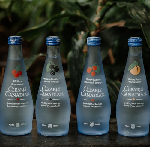 Sparkling Water Blackberry 11oz K7