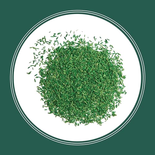Grass Seed Sun and Shade Mix 20 lb K7