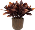 Northlight 8" Two-Tone Artificial Foliage Plant in a Textured Lined Pot