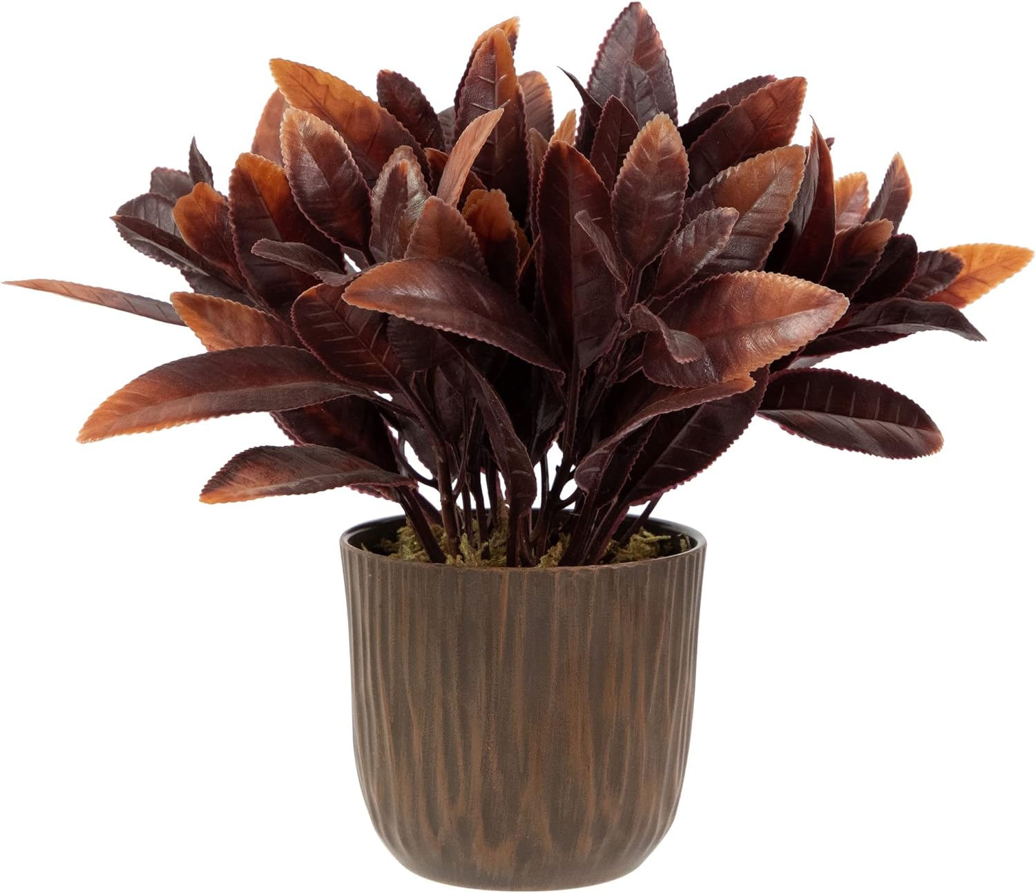 Northlight 8" Two-Tone Artificial Foliage Plant in a Textured Lined Pot