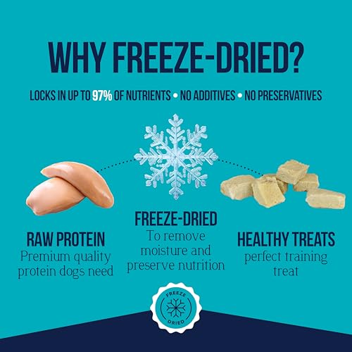 Freeze Dried Raw Dog Treats Chicken Breast 14.8oz A7
