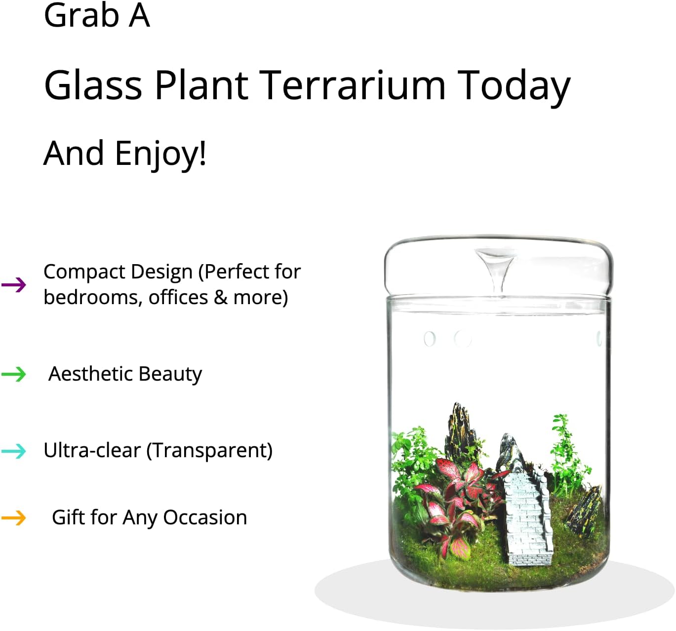 Glass Plant Terrarium 4.7x7in with Lid a9