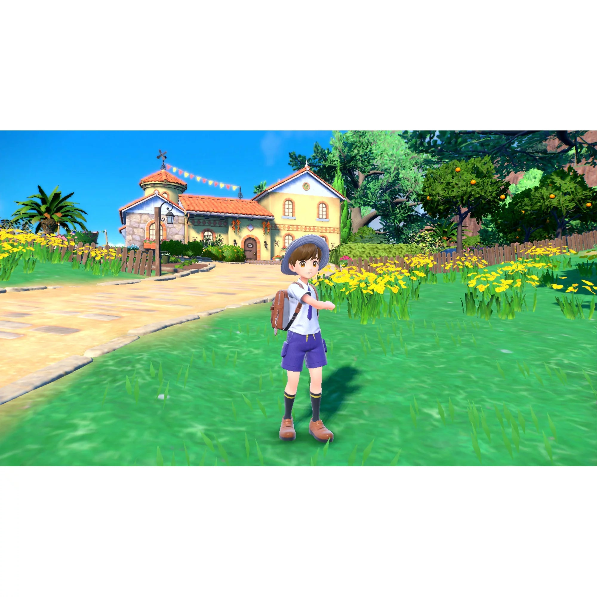Nintendo Switch Dual Pack Game a7