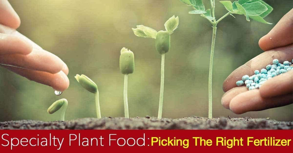 Flower & Vegetable Smart-Release Plant Food 15 oz k7