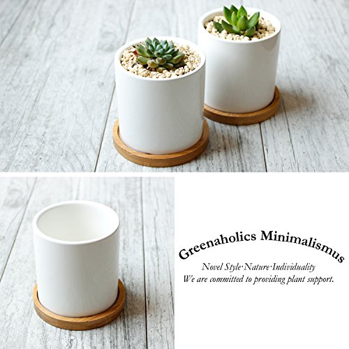 Small White Ceramic Succulent Pots with Bamboo Tray, Set of 2 k7