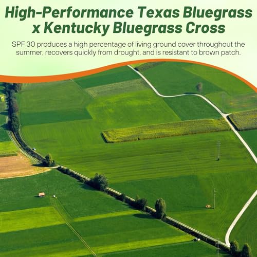 Bluegrass Lawn Grass Seed 5 lb a7