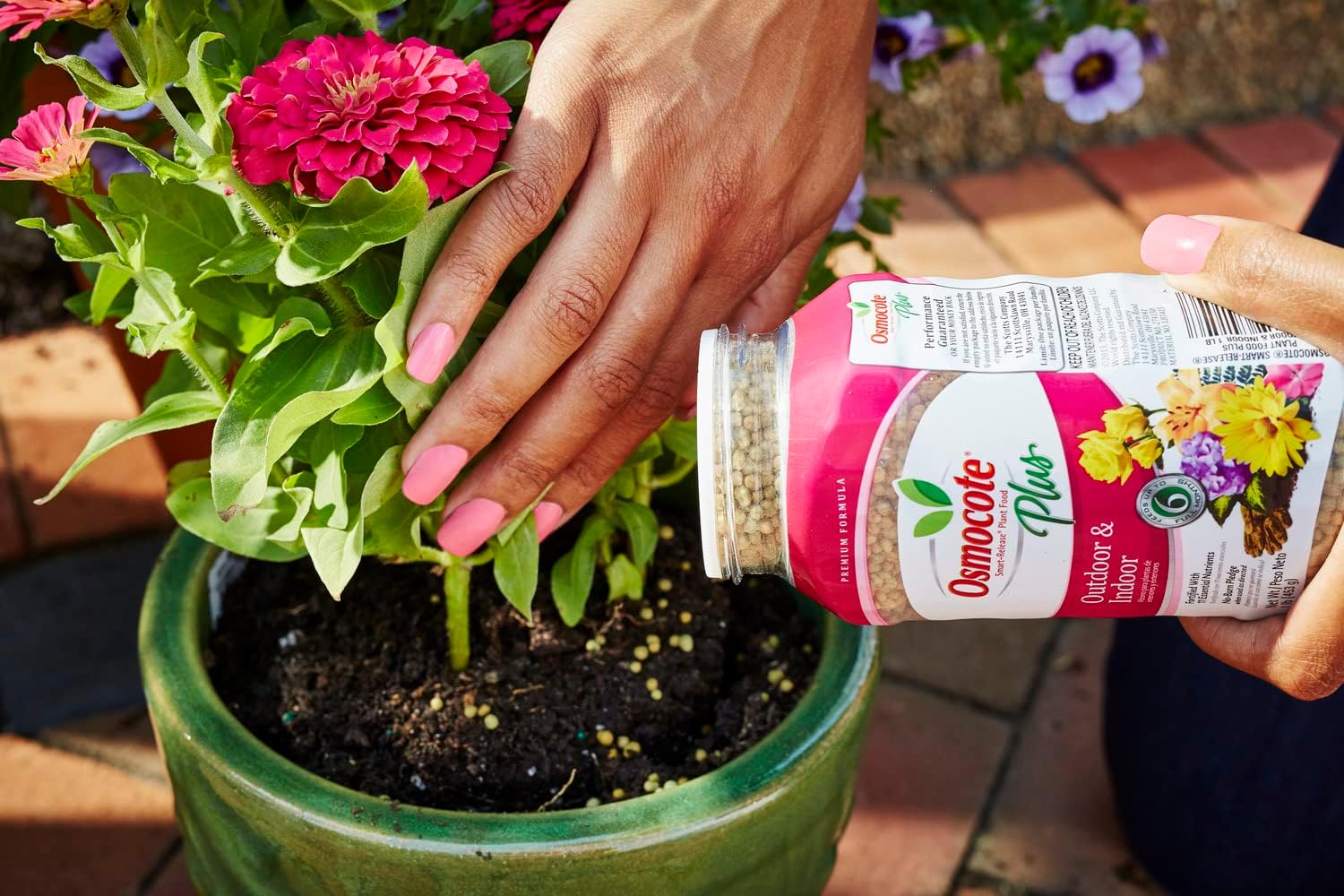 Plant Food Plus Outdoor & Indoor 1 lb. K7