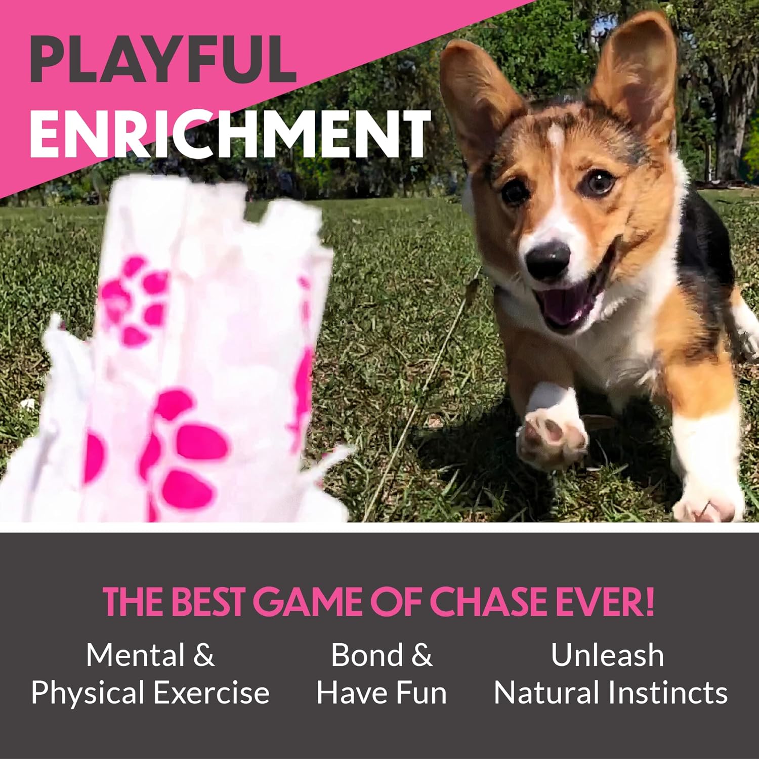 Dog Remote Control Chase Toy Set 7k
