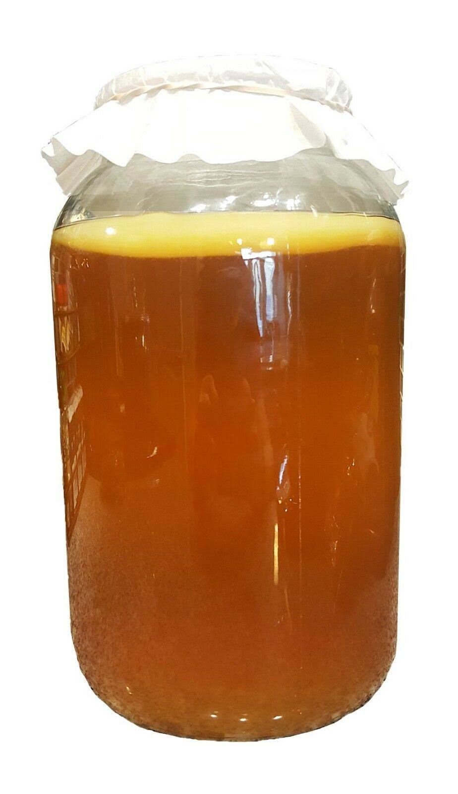 Kombucha Starter Kit with SCOBY and Glass Jar 7x