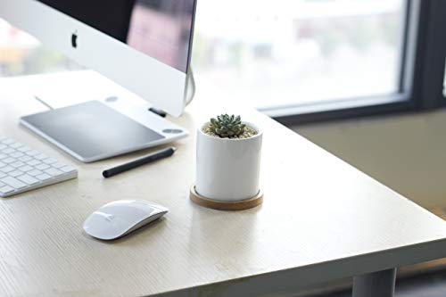 Small White Ceramic Succulent Pots with Bamboo Tray, Set of 2 k7