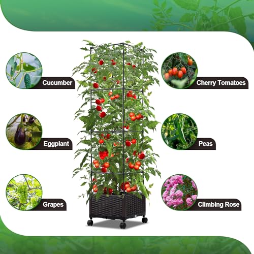 Garden Bed Planter Box with Trellis 63in Tomato Cage a7