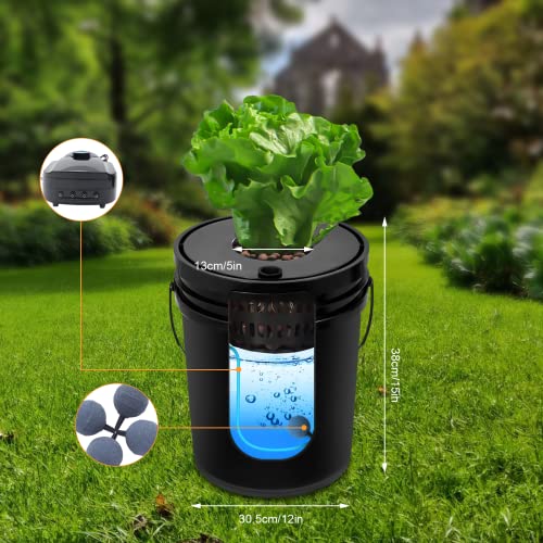 Hydroponics Growing System 5 Gallon Bucket k7