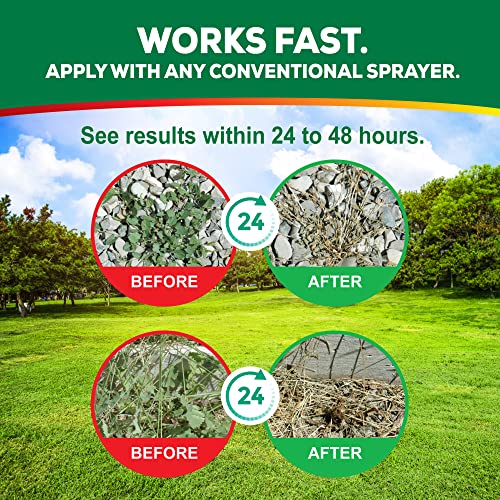 Weed Killer Concentrate Spray, Pet Safe & Organic Herbicide Q7