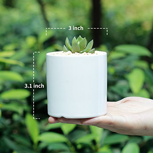 Small White Ceramic Succulent Pots with Bamboo Tray, Set of 2 k7