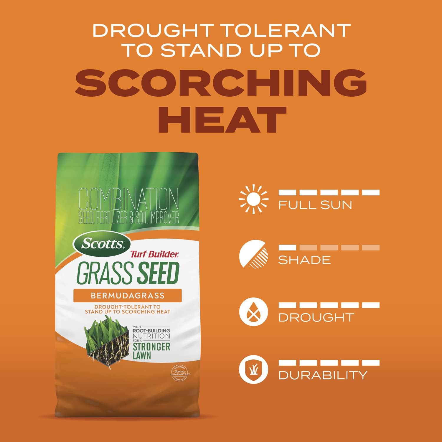 Grass Seed Bermudagrass with Fertilizer, Drought-Tolerant 1 lb. K7