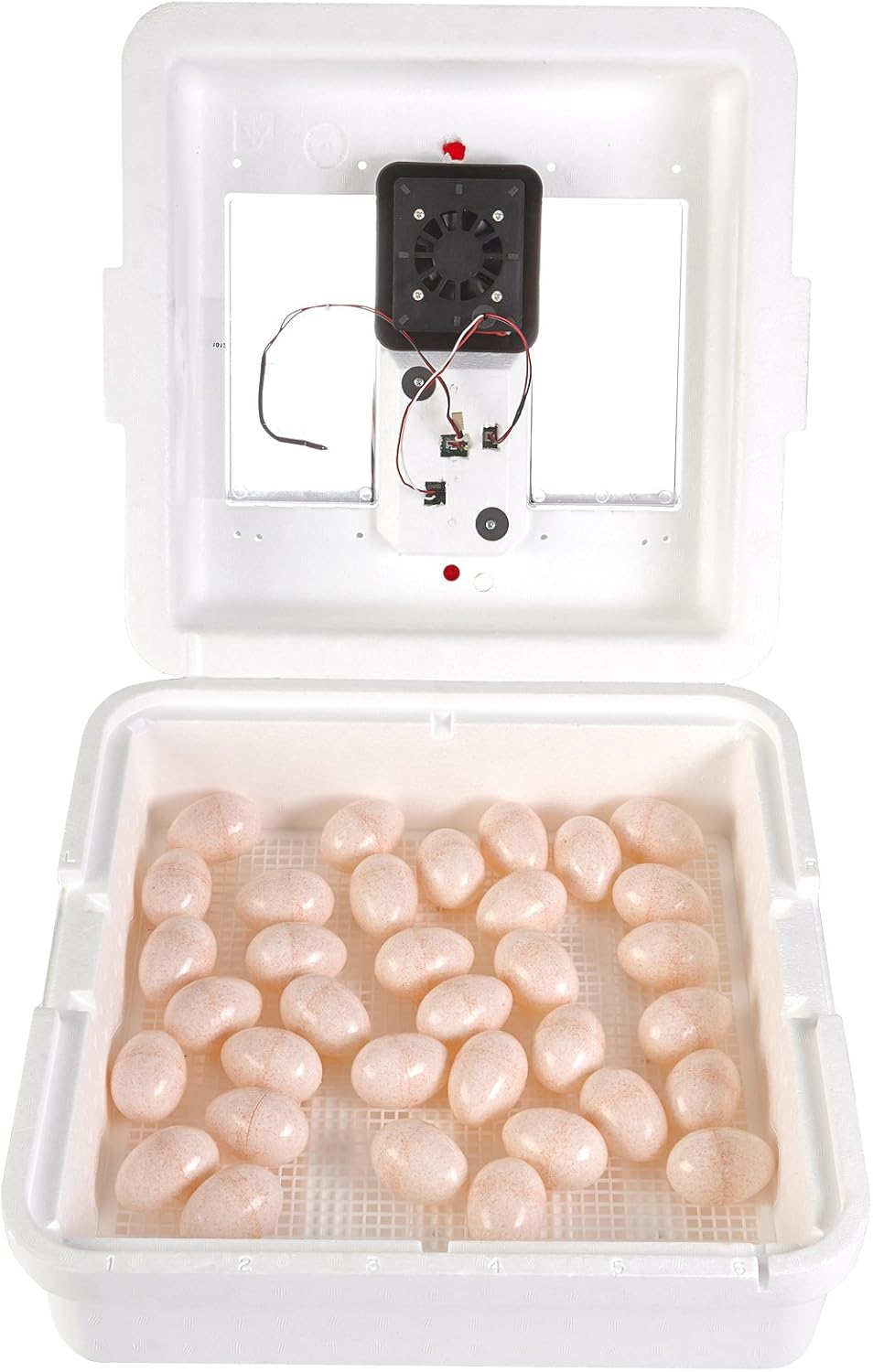 Digital Circulated Air Incubator 41 Eggs with Fan and Humidity Control k7
