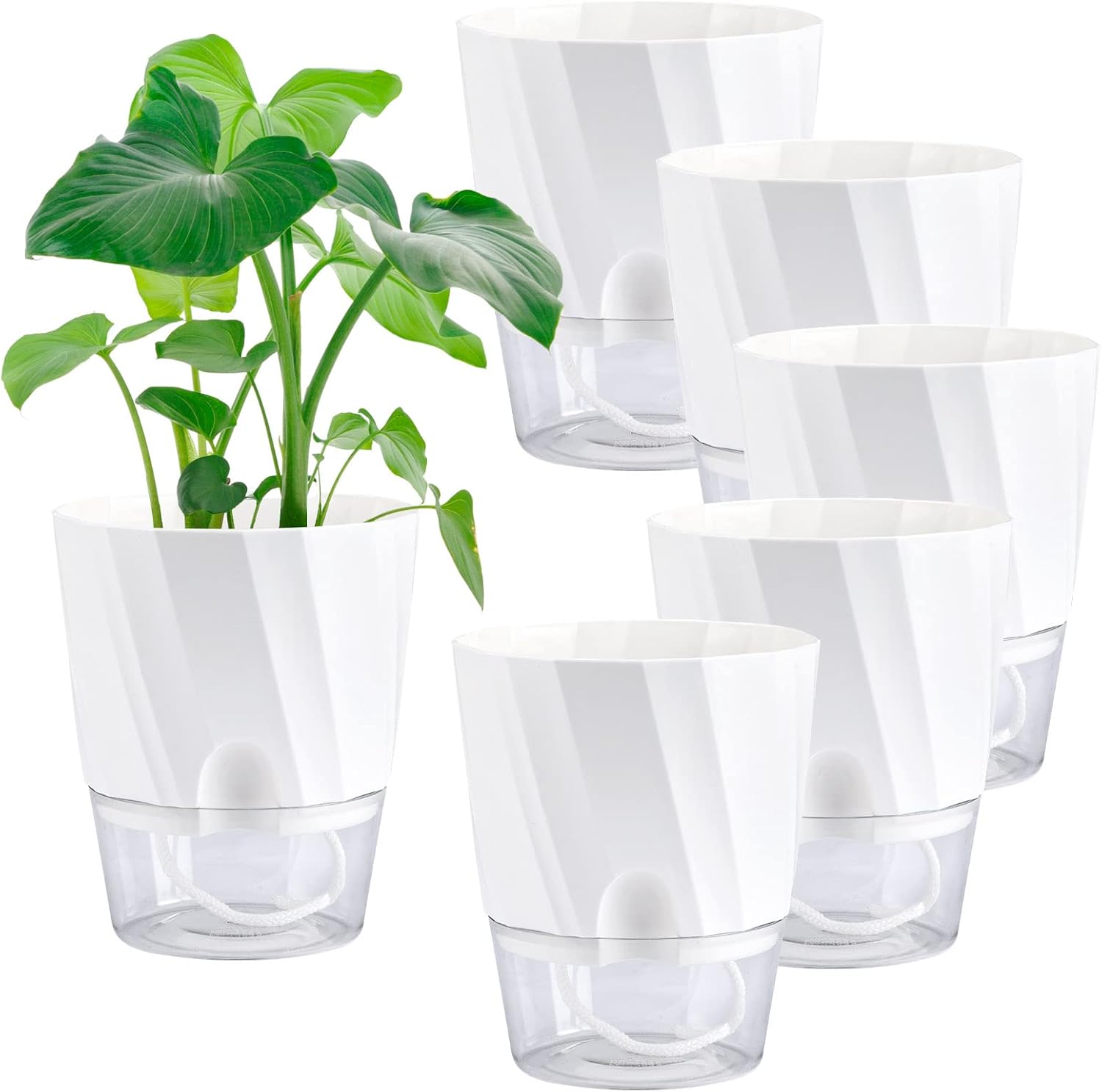 Whonline 6 Inch Self Watering Pots for Indoor Plants, 6 Pack African Violet Pots White Plant Pots Self Watering Planters with Wick Rope Flowers Outdoor Windowsill Gardens