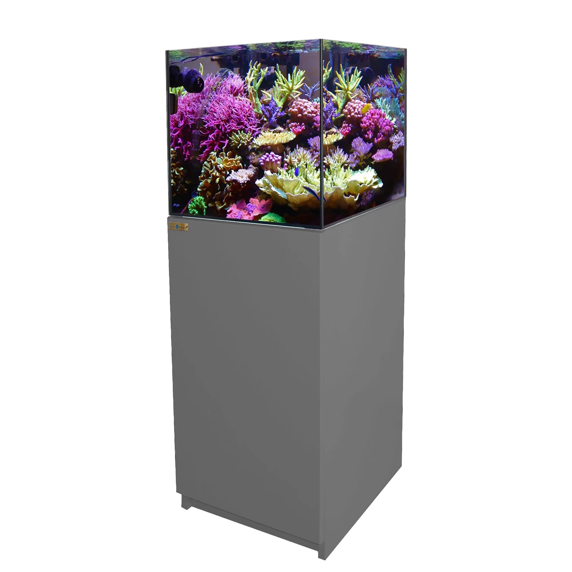 37 Gallon SILVER Coral Reef Aquarium Tank Ultra Clear transpare Glass with Sump - Curated Treasures Market