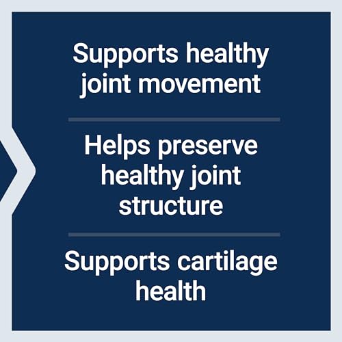 Glucosamine Chondroitin Capsules for Joint Health, 100 Count q7