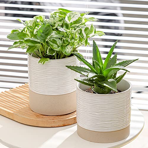 Ceramic Self-Watering Planter 6 Inch with Drainage Hole White Black 7k