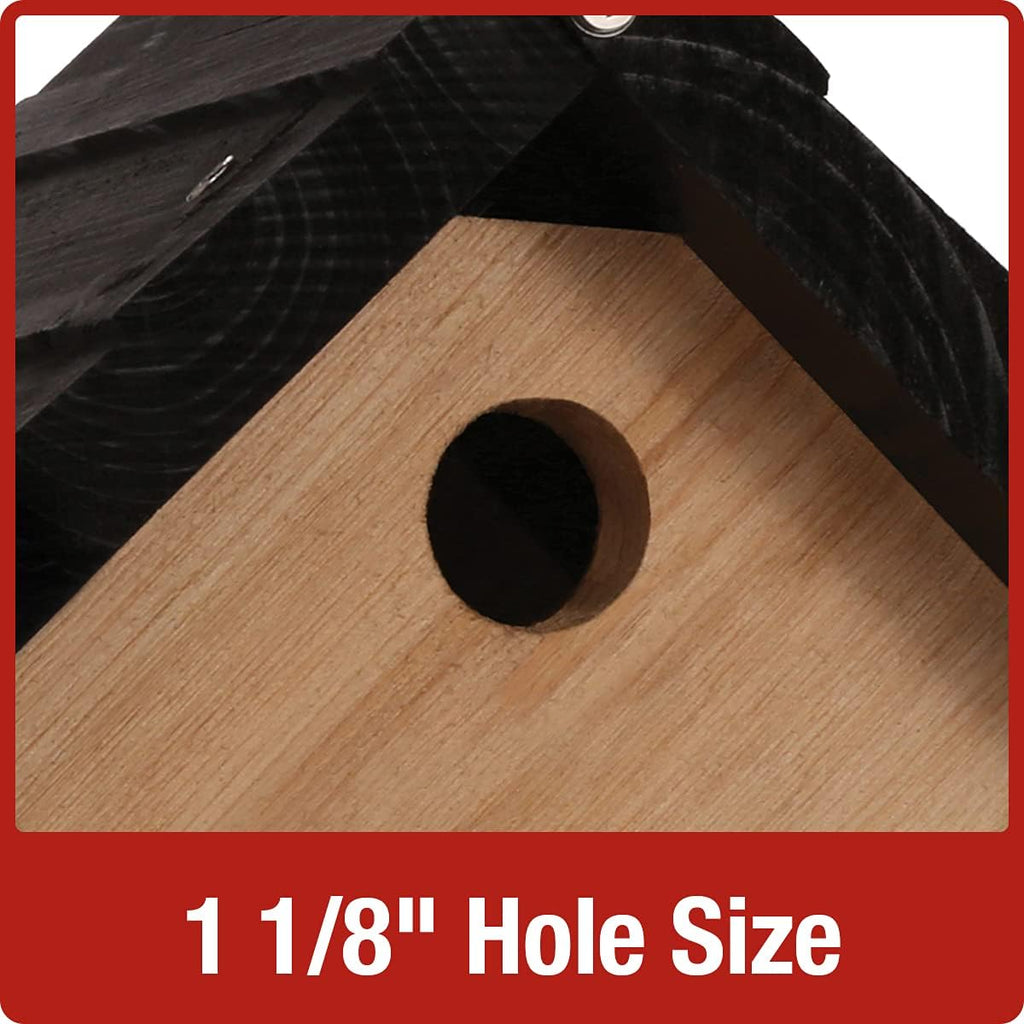 Cedar Wren House 8x9x8 in Brown k7