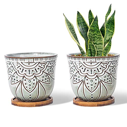 G EPGardening Brown Retro Large Planter Pot Succulent Planter Round Ceramic Planter Flower Pot Indoor Plant Bowl Container with Bamboo Tray Drainage Hole Plastic Mesh Set of 2