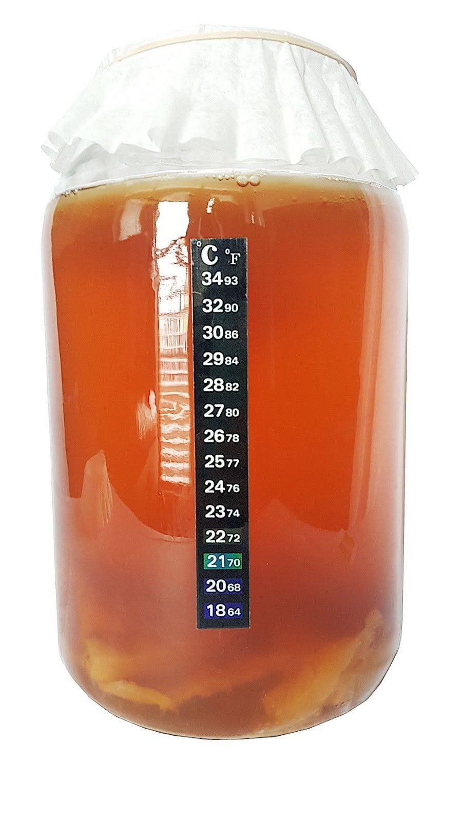 Kombucha Starter Kit with SCOBY and Glass Jar 7x