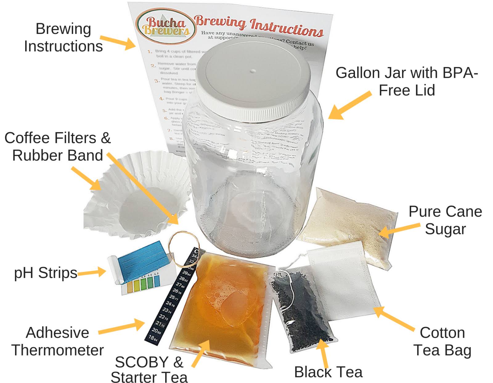 Kombucha Starter Kit with SCOBY and Glass Jar 7x