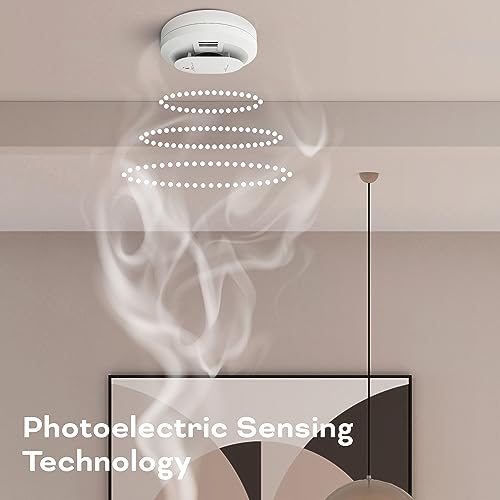 Smoke & Carbon Monoxide Detector, AA Battery, 2 Pack k7