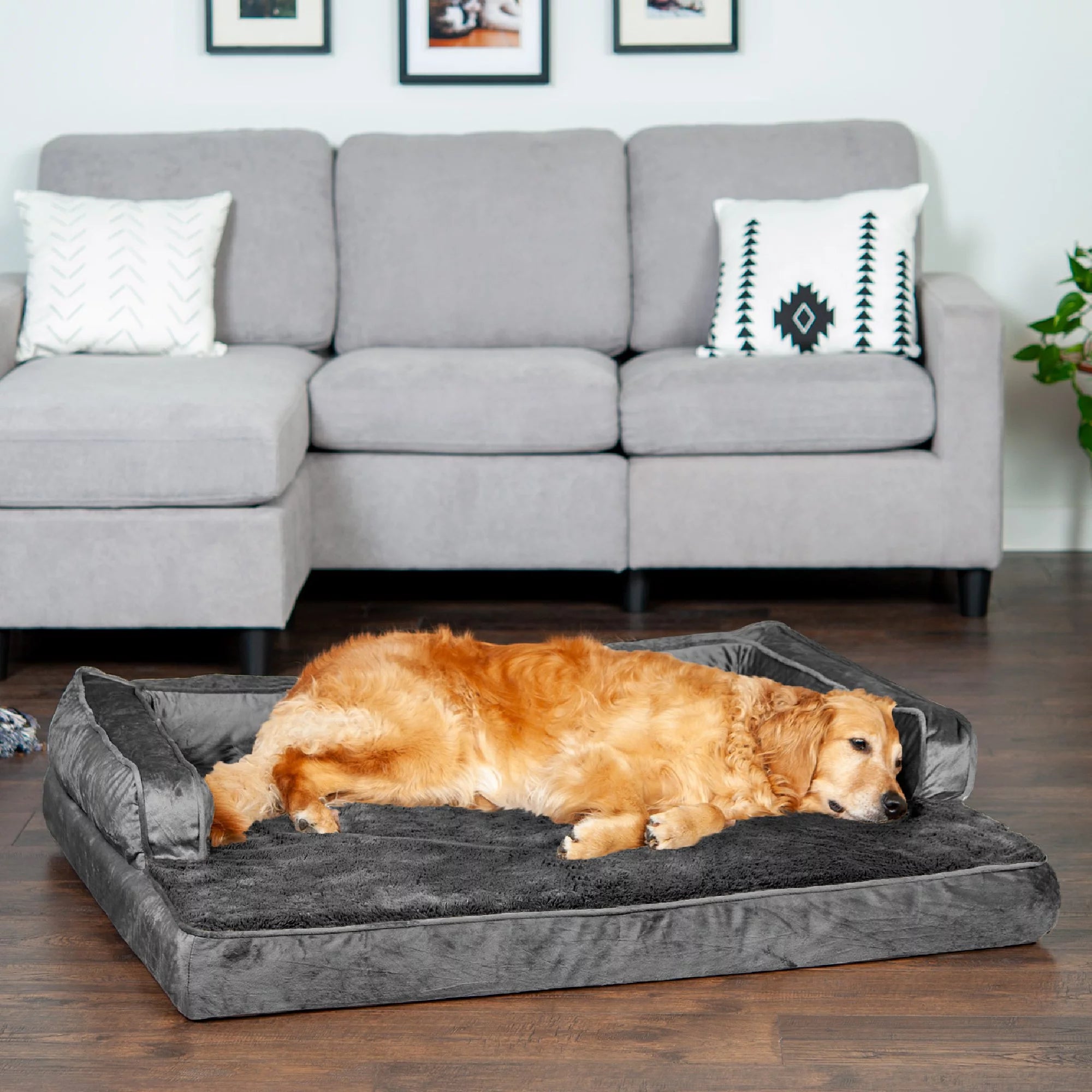 Plush Orthopedic Sofa Pet Bed for Dogs & Cats Dark Gray Jumbo k7