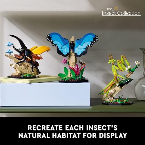 Insect Collection Building Set with Butterfly and Beetle Models k7p