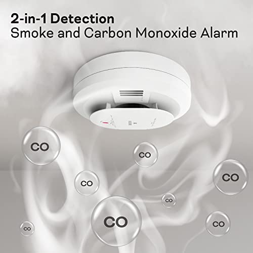 Smoke & Carbon Monoxide Detector, AA Battery, 2 Pack k7