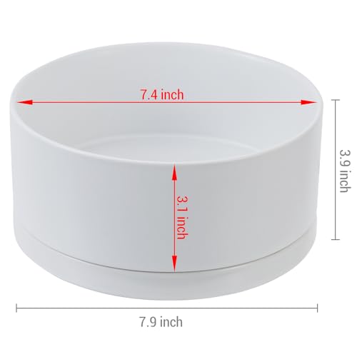 Ceramic Plant Pot with Drainage Hole and Tray 7 Inch a3