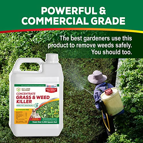 Weed Killer Concentrate Spray, Pet Safe & Organic Herbicide Q7