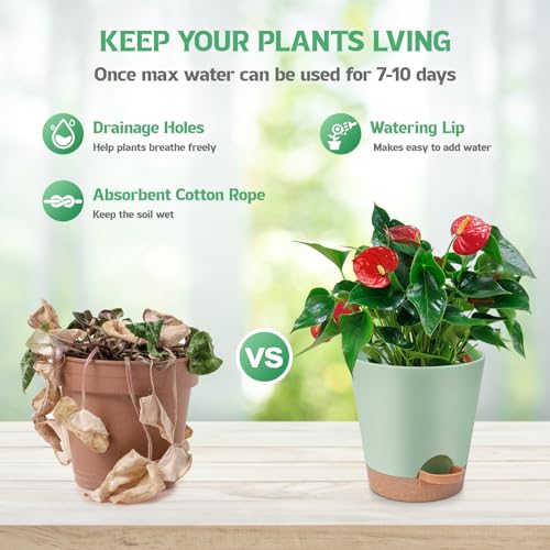 Self-Watering Plant Pots with Drainage Hole and Saucer 8-5 Inch K7