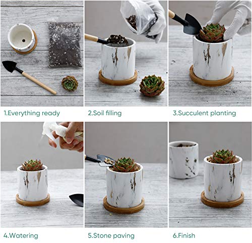 Small White Ceramic Succulent Pots with Bamboo Tray, Set of 2 k7