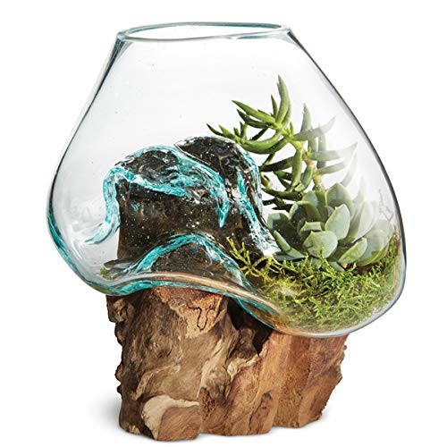 Glass Terrarium Vase Fish Bowl 6-7 Inch a7