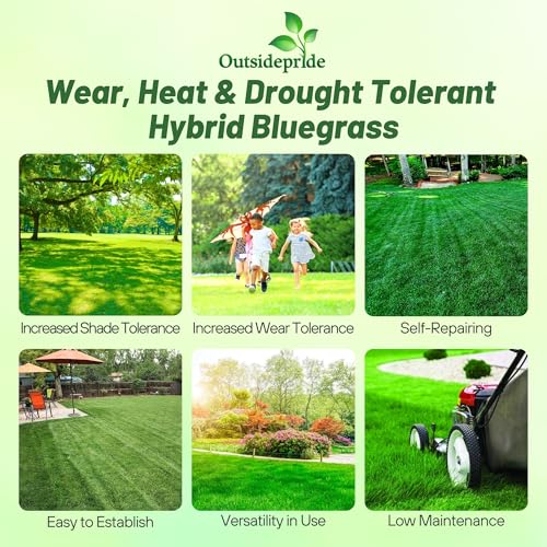 Bluegrass Lawn Grass Seed 5 lb a7