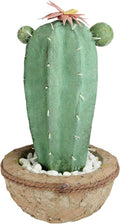 Northlight 13.75” Potted Green and Brown Artificial Cactus Plant with Flowers