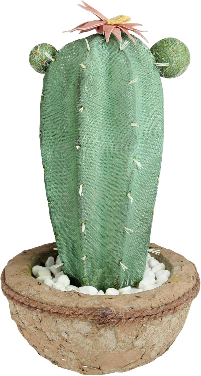Northlight 13.75” Potted Green and Brown Artificial Cactus Plant with Flowers