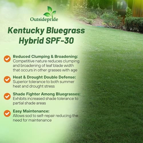 Bluegrass Lawn Grass Seed 5 lb a7